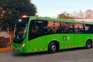 RTP en riesgo: alertan fallas en frenos y unidades que podrían causar accidentes en CDMX