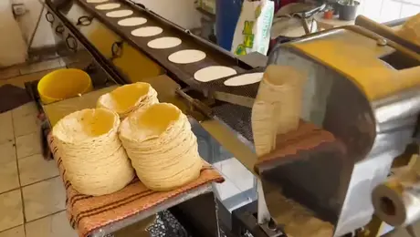 ¿Se viene el tortillazo? Consejo de la Tortilla aclara si subirá el precio del kilo