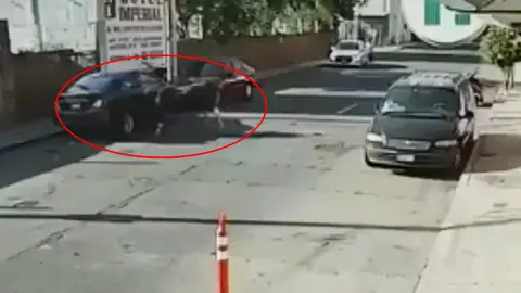 Un auto y una motocicleta salieron afectados por las embestidas del animal / Redes Sociales