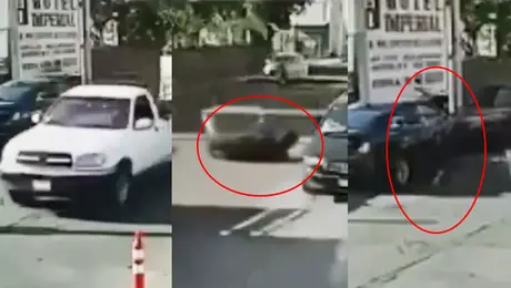 VIDEO: Toro cae de una camioneta, se enfurece y destruye autos a su paso