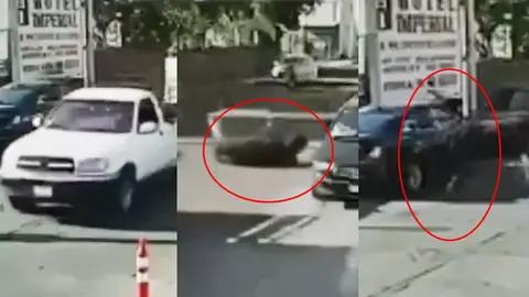 VIDEO: Toro cae de una camioneta, se enfurece y destruye autos a su paso