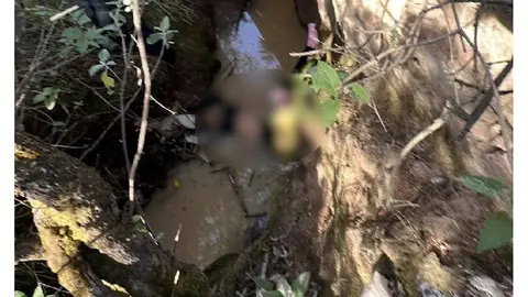 El hallazgo ocurrió en el municipio de Atltzayanca, Tlaxcala, la mañana del 21 de mayo de 2026./ X: @narcoblogger