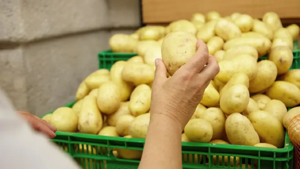 Aunque las nuevas cosechas comenzaron a llegar al mercado, la cantidad no sería suficiente / Magnific