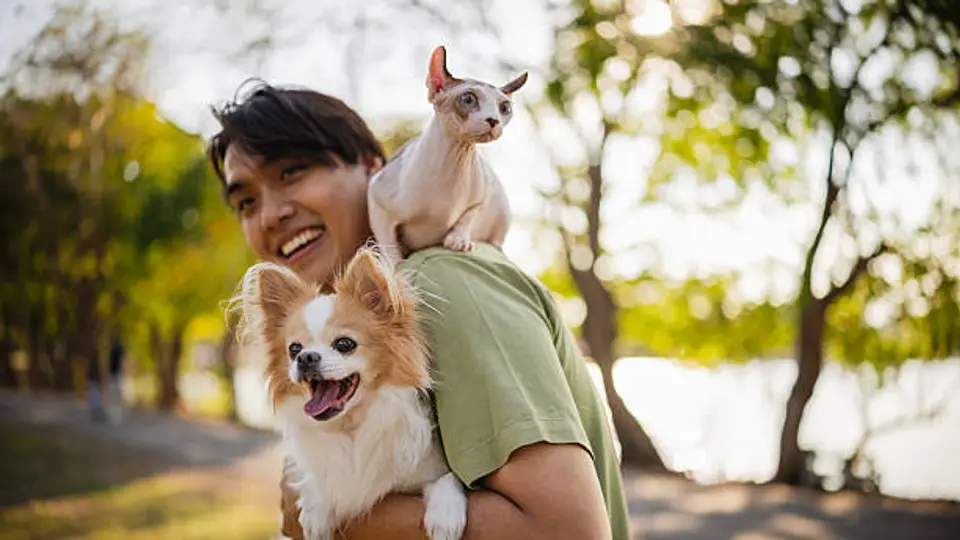 El Día Mundial del Perro busca reconocer la importancia de estos animales y fomentar su cuidado responsable./ Pixabay