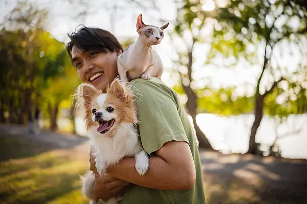 El Día Mundial del Perro busca reconocer la importancia de estos animales y fomentar su cuidado responsable./ Pixabay