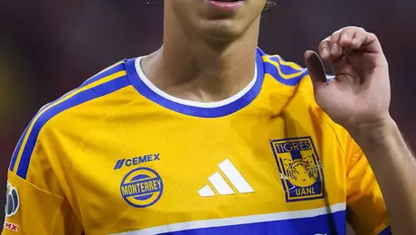 La novela de Tigres