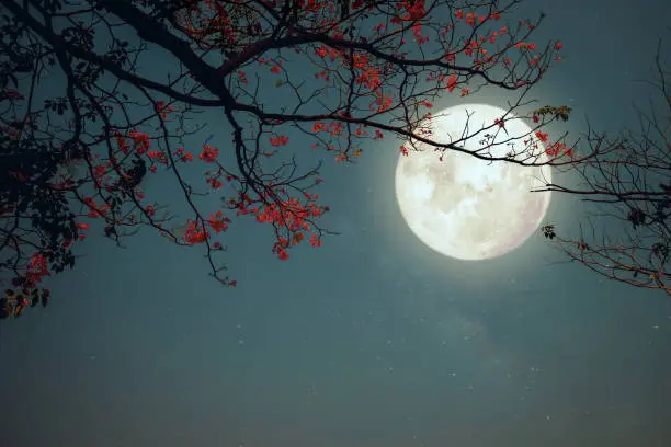 La Luna se verá prácticamente llena entre el 25 y el 27 de septiembre./ Pixabay