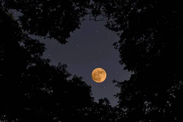 La Luna de Cosecha recibe ese nombre por ser la Luna llena más cercana al equinoccio de septiembre./ Pixabay