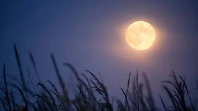Luna de Cosecha septiembre 2026 cuándo y a qué hora verla en México