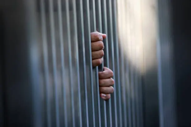 Durante el operativo de la Marina fueron rescatadas 13 personas privadas de la libertad./ Pixabay