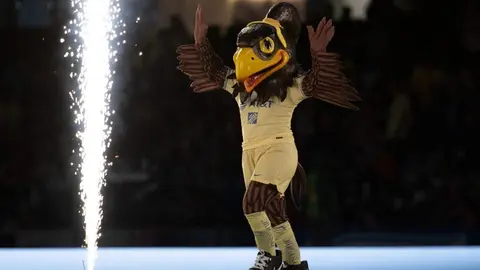 América: Presentó a su nueva mascota femenina