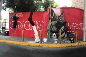 Proteo: Peluches y hasta un corrido norteño son algunos de los homenajes al perrito rescatista