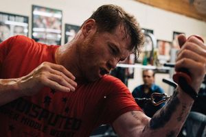 Hija del Canelo presumió lujosos tenis personalizados sobre el boxeador