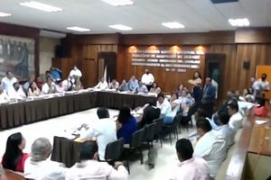 Mapaches cayeron del techo en plena sesión de cabildos en Acapulco