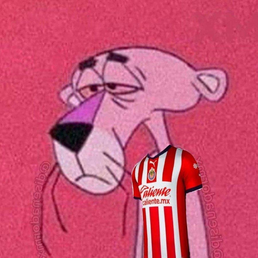 Chivahermano triste
