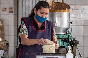 Precio de la tortilla alcanzó los 33 pesos y puede subir más a inicios del 2023