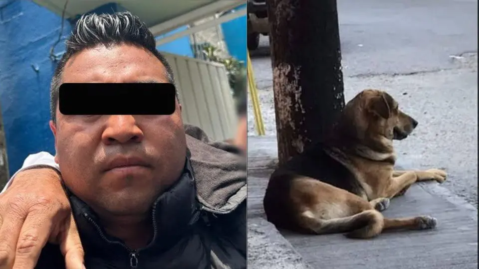 Tras salir de la FGJ, personas golpean a sujeto que arrojó a perrito a aceite hirviendo