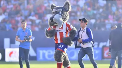 Atlético de San Luis le dio la bienvenida a ‘Lucho’, su mascota inspirada en la adopción
