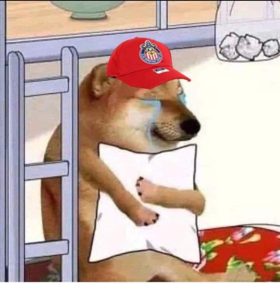Chivahermano triste