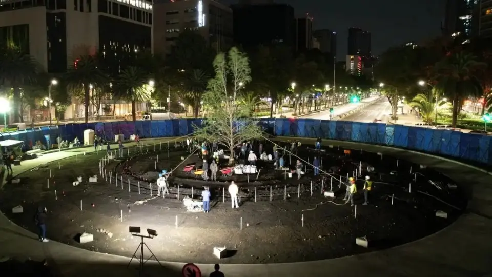 Plantan nuevo ahuehuete en glorieta de Paseo de la Reforma