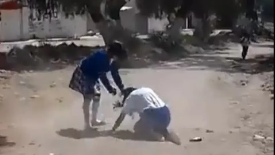 Estudiante de secundaria que sufría 'bullying' falleció tras pelea con su agresora