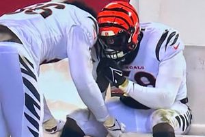 Joseph Ossai: Fue respaldado tras cometer el error que le costó la temporada a los Bengals