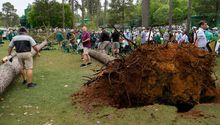 Árbol cae durante el Masters de Augusta de golf y genera caos entre jugadores y asistentes