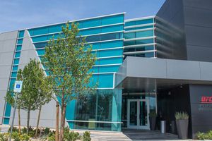 UFC anunció establecimiento de desarrollo y entrenamiento en México