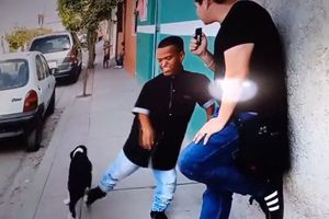 Medio Metro pateó a un perro y recibe críticas en redes sociales