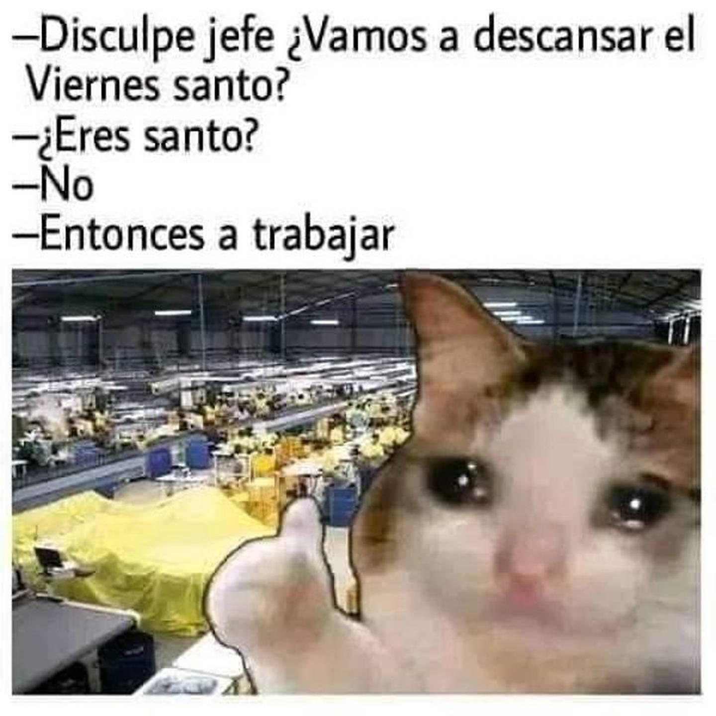 Los mejores memes de las vacaciones de Semana Santa