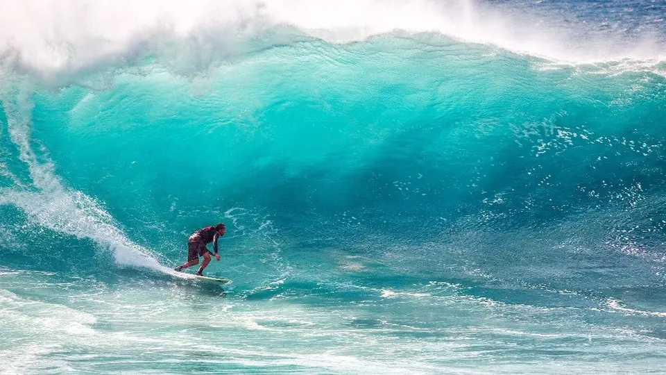 Letal ataque de tiburón termina con la vida de una de las jóvenes promesas del surf