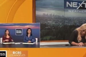 Meteoróloga de Los Ángeles colapsó en pleno programa en vivo