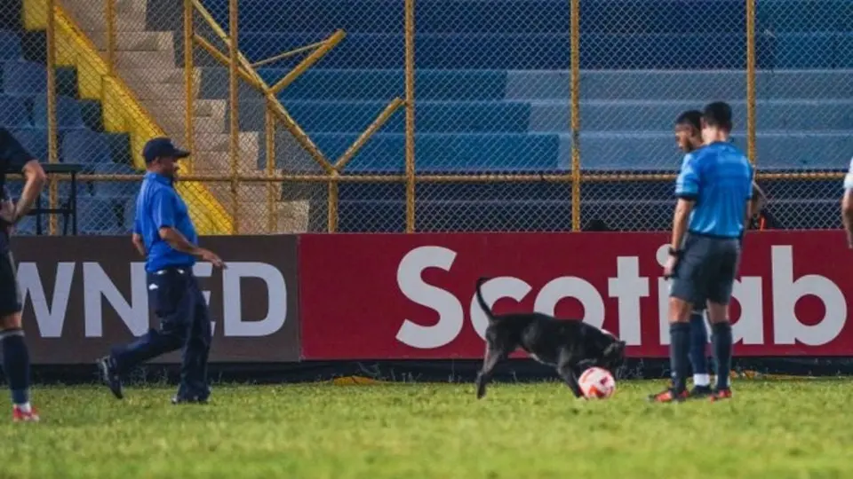 Concachampions: Perrito arma 'la fiesta' en el Alianza vs Philadelphia Union