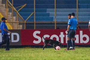 Concachampions: Perrito arma 'la fiesta' en el Alianza vs Philadelphia Union