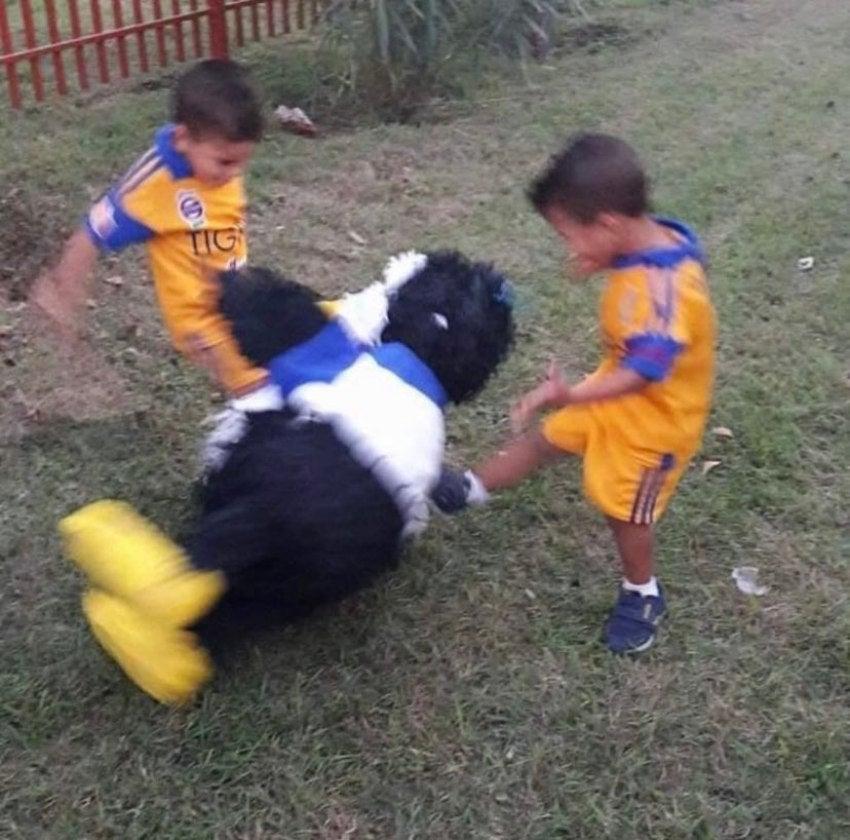 Clásico Regio: Los mejores memes de la eliminación de Rayados a manos de Tigres