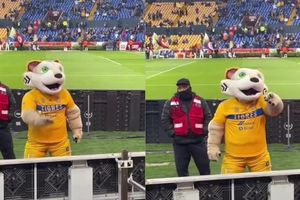 Mascota de Tigres hace señal inapropiada con las manos a la afición