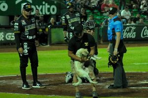 LMB: En el Yucatán vs Oaxaca... ¡Un lomito fue el protagonista!