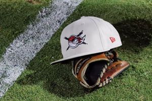 Juego de LMB entre Toros y Piratas fue suspendido por muerte de un aficionado