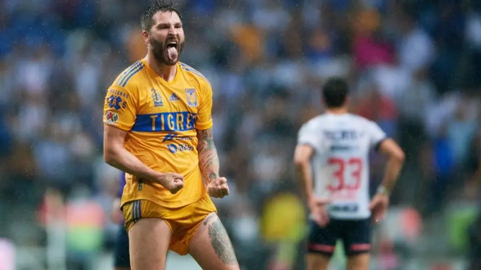Jugadores del Tigres festejaron con cánticos su pase a la Final: "Nos los cog.... otra vez"