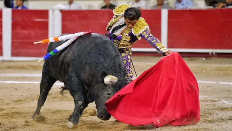 Joselito tras despertar en enfermería por embestida espeluznante: 'Quiero salir a matar al toro, doctores'