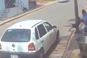 Hombre que lanzó a un perro a cazuela de aceite hirviendo en Técamac fue identificado