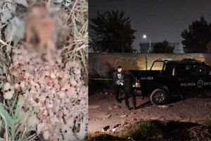 Pozole con restos humanos: Lo que se sabe del macabro hallazgo en Zapopan