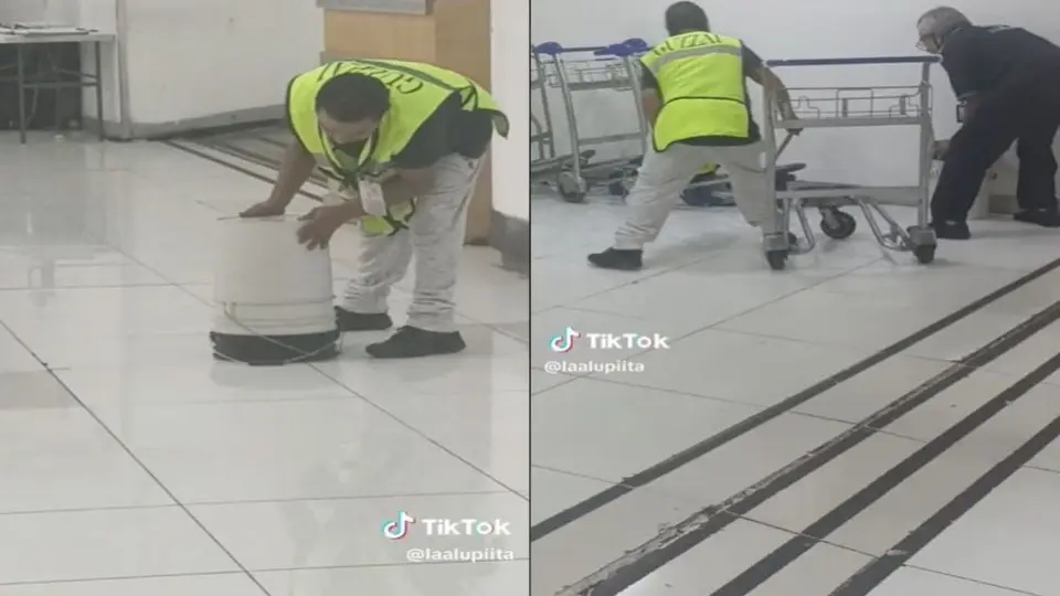 Rata provoca pánico en el Aeropuerto de la Ciudad de México
