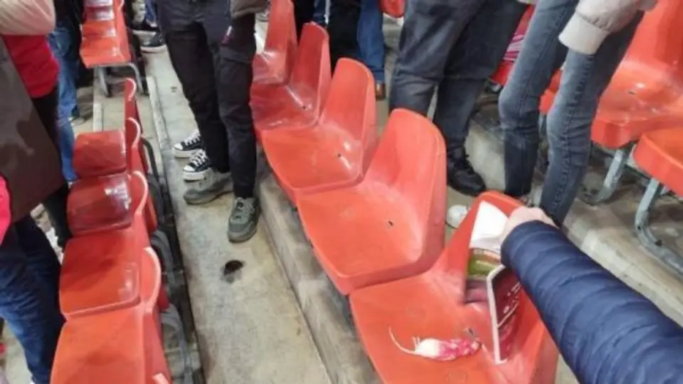 Standard de Lieja vs Charleroi: Hinchas en Bélgica lanzan ratas muertas a porra rival