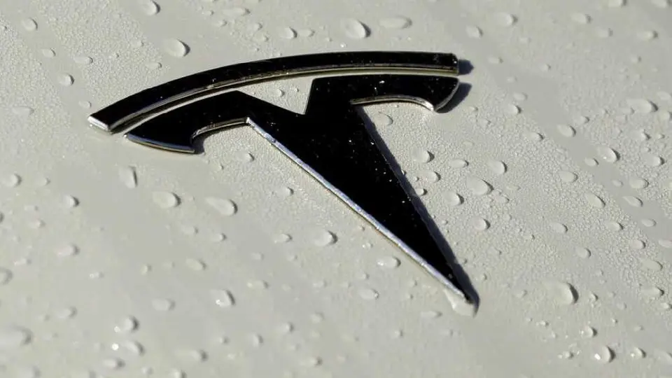Tesla ya busca personal en México previo a la construcción de la gigafábrica