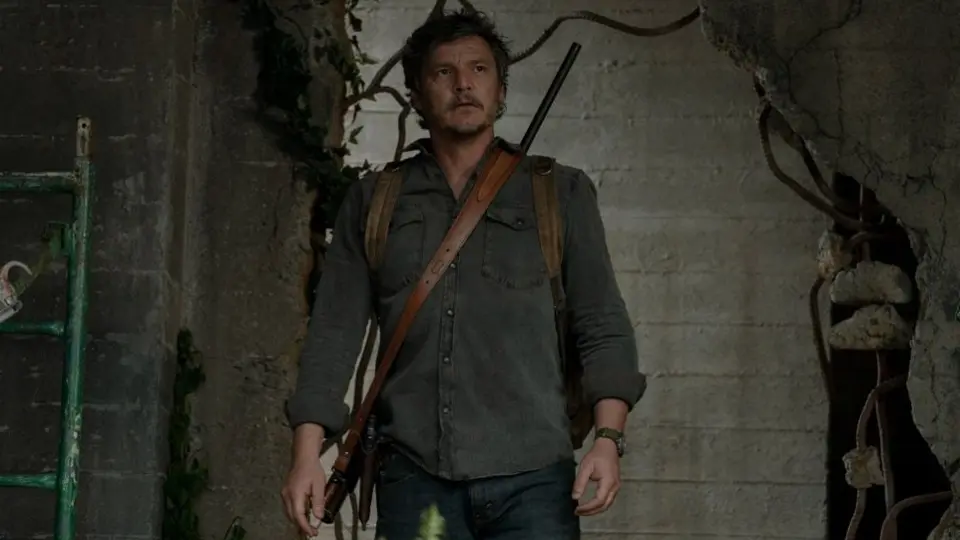 Candida Auris: ¿Tiene algo que ver con el hongo de The Last of Us?