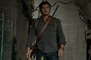 Candida Auris: ¿Tiene algo que ver con el hongo de The Last of Us?