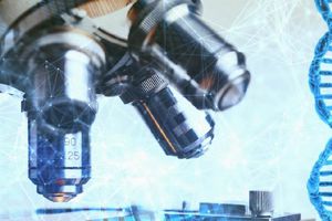 Alertan sobre tratamientos con células madre sin evidencia científica y cómo evitar ser víctima de fraudes