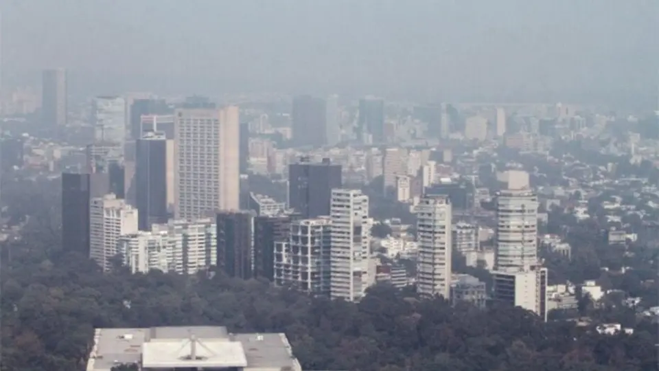 Doble hoy no circula: ¿Qué autos no circulan este 24 de febrero con la contingencia ambiental?
