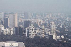 Doble hoy no circula: ¿Qué autos no circulan este 24 de febrero con la contingencia ambiental?
